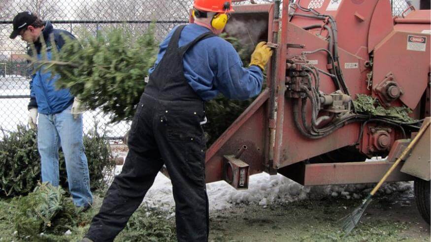 Recycle your Christmas tree in NYC at MulchFest 2016