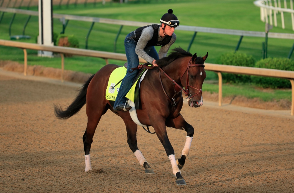 2019 Kentucky Derby horse profile Omaha Beach