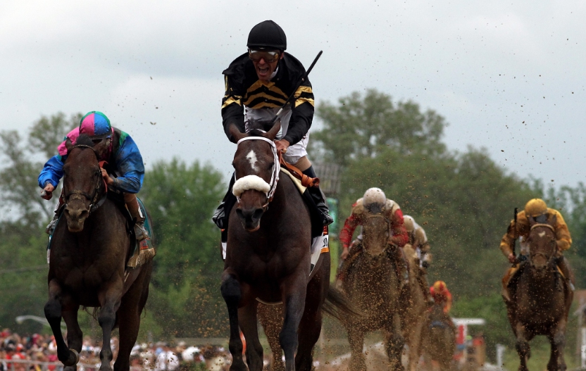 2019 Preakness Stakes horse profile Bodexpress