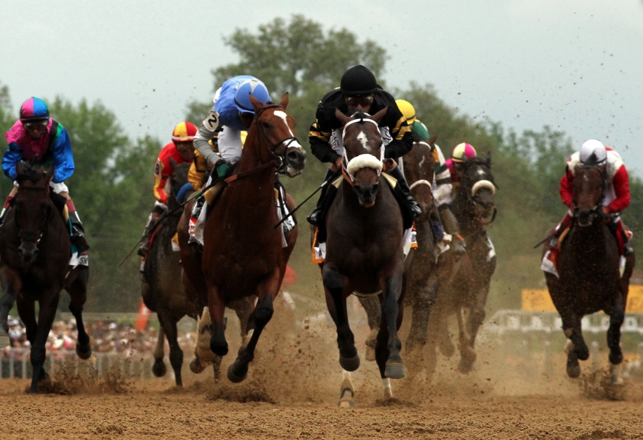 2019 Preakness Stakes horse profile Bourbon War