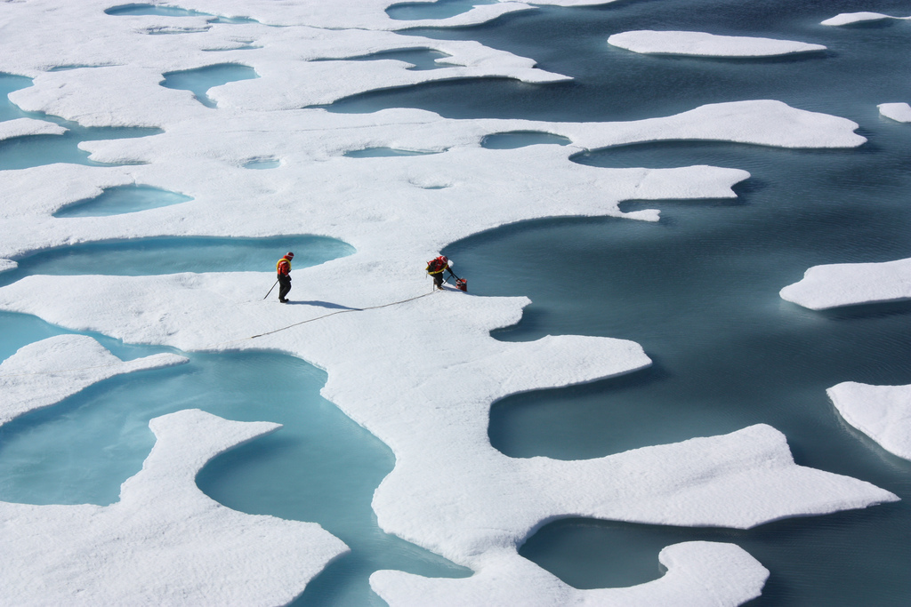 Arctic sea ice, sea level rise, climate change, trump climate change, climate change report, global warming