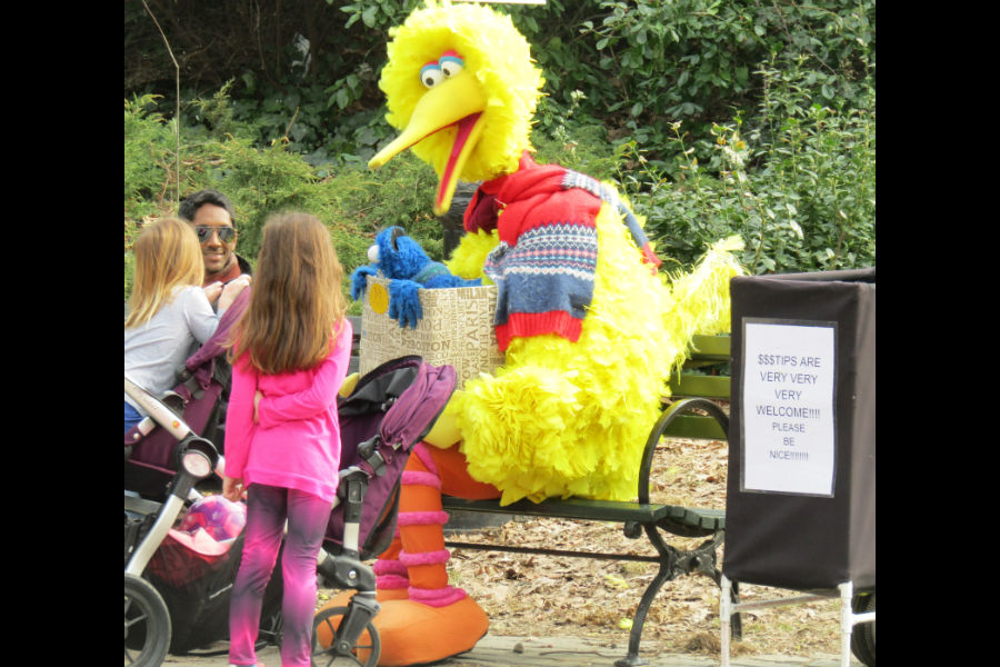 Who is that big bird in Central Park?