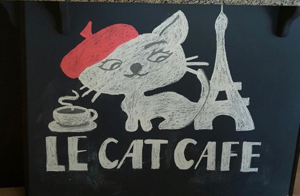 Celebrate Le Cat Cafe’s one-year anniversary
