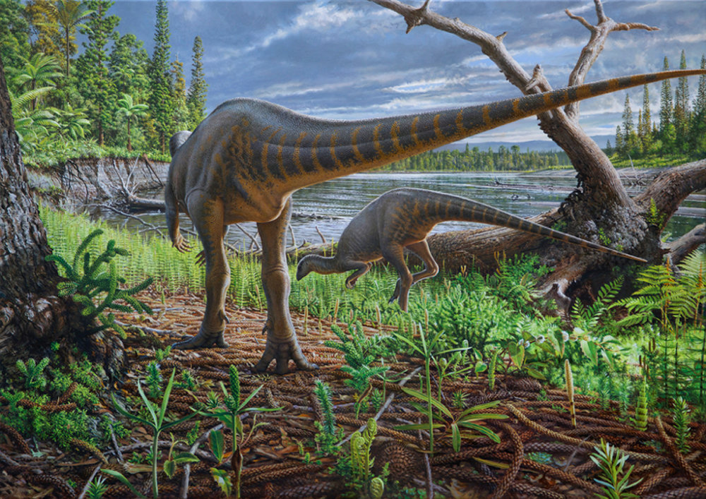 Fossil of dinosaur swept away in ancient Australian river found