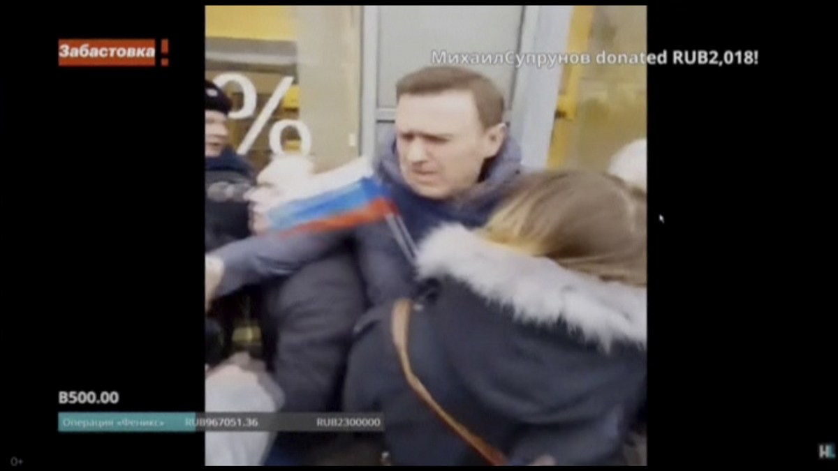 Russian opposition leader Navalny released after rally: lawyer