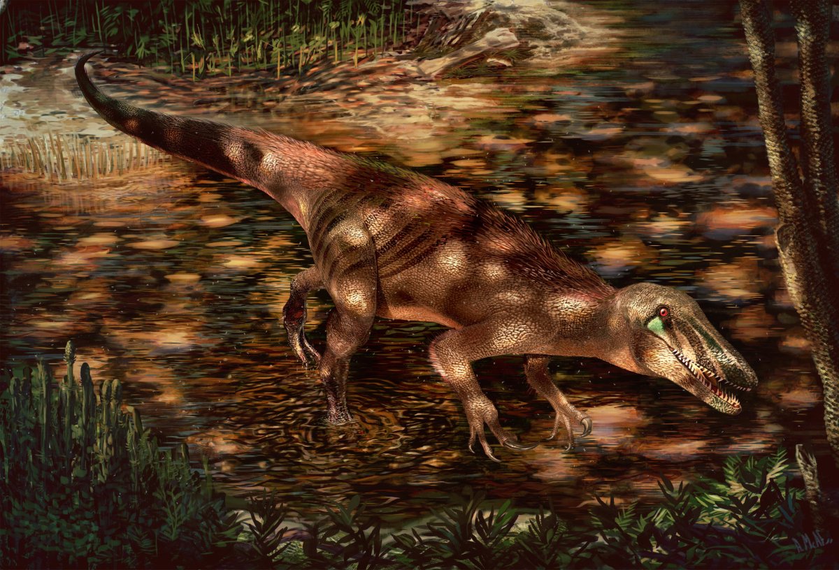 Fossils of ‘badass’ Argentine meat-eating dinosaur unearthed