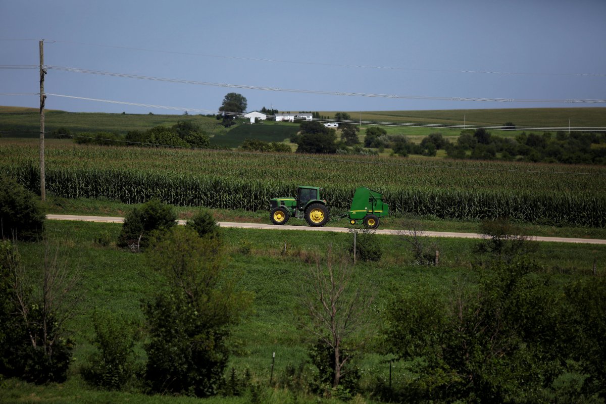 House approves farm bill without tightened food stamps criteria