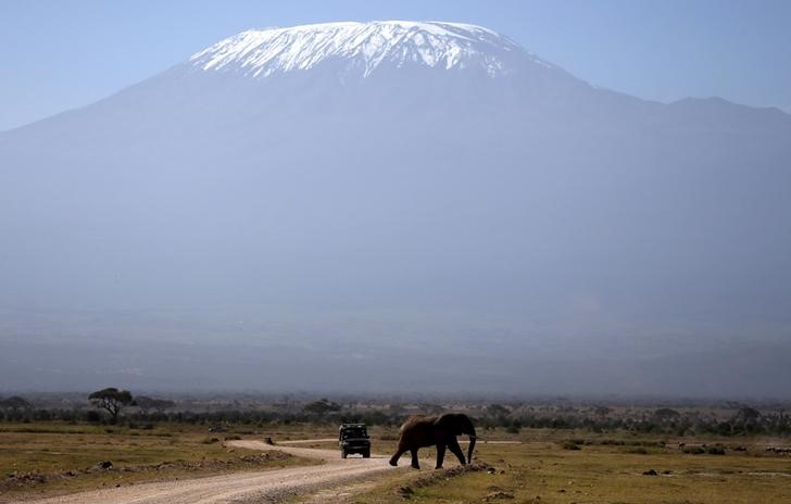 South African rally champion dies in Mandela Kilimanjaro charity climb