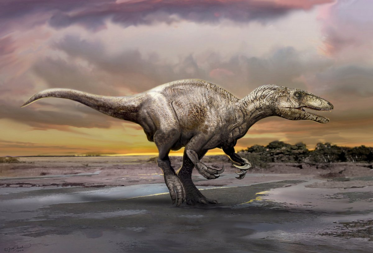 Argentine fossils shed light on vicious group of dinosaurs