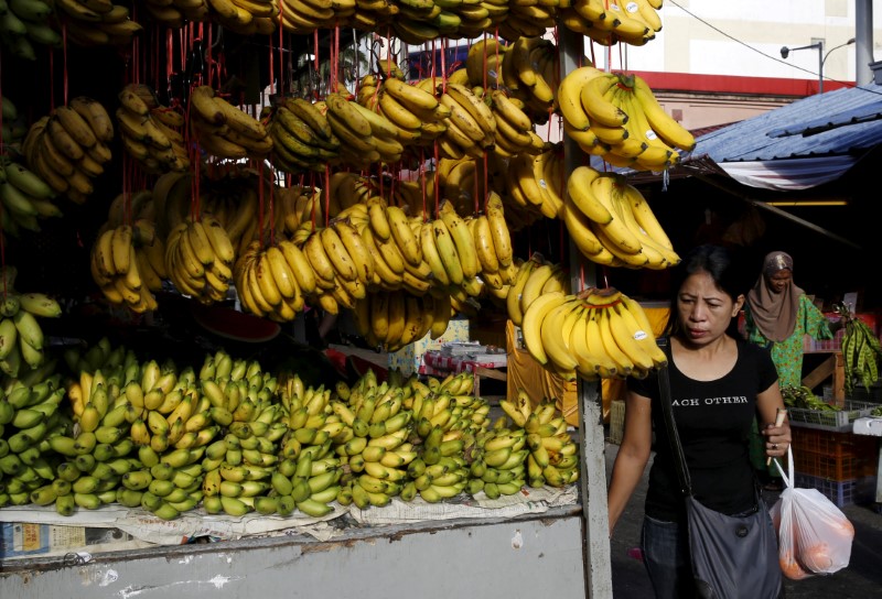 Malaysia January inflation rate seen at 2.9 percent, slowest in over a year: