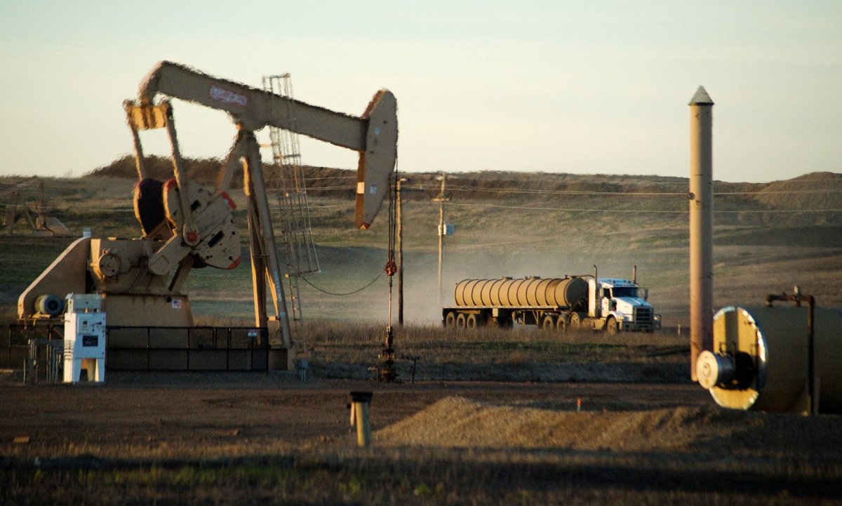 U.S. crude oil production hit record high in November: EIA