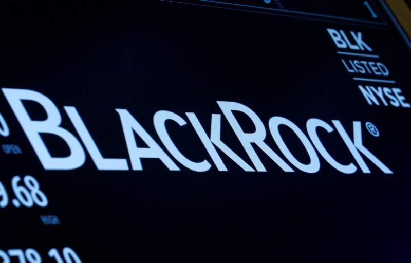 BlackRock poses tough questions to gunmakers and sellers