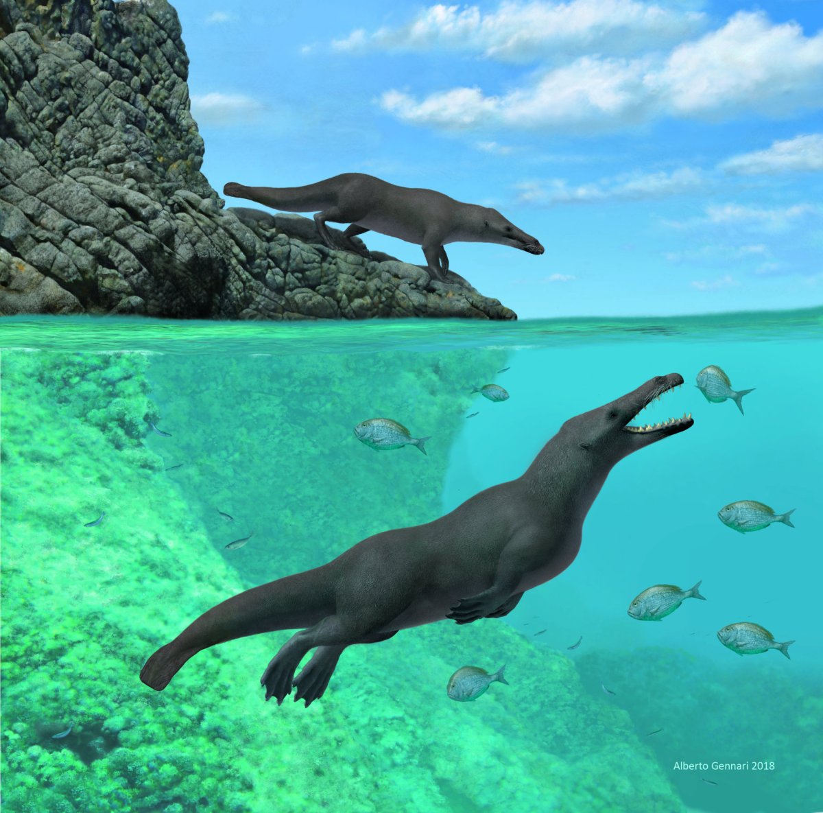 Ancient four-legged whale from Peru walked on land, swam in sea
