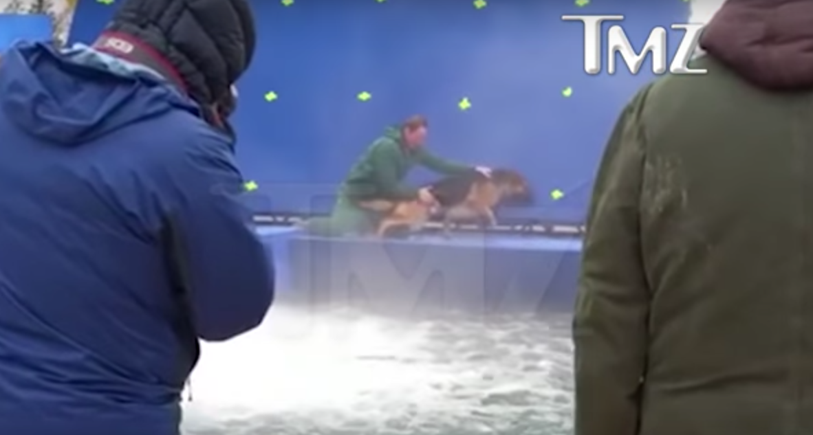 ‘A Dog’s Purpose’ facing backlash after video of terrified dog surfaces