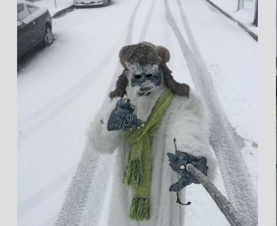 Boston Yeti Tracker: Where to find him in the storm