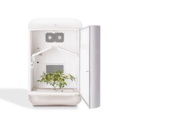 New machine lets you grow marijuana at home via app