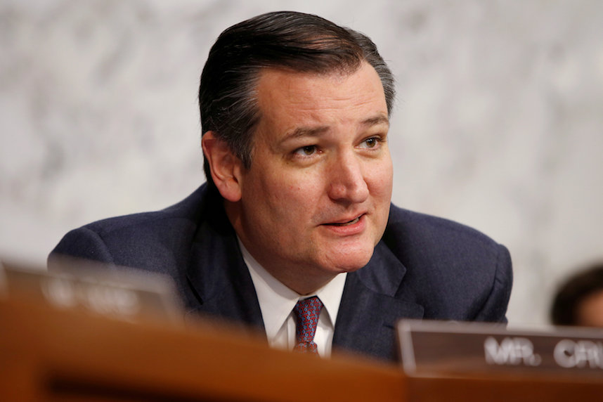 Ted Cruz challenged by ex-punk rocker for Senate seat
