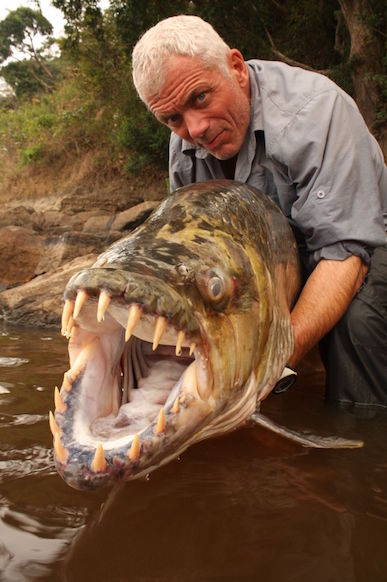 Animal Planet River Monsters Congo