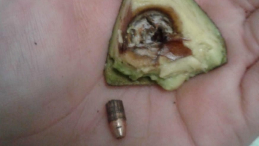Avocado with Bullet