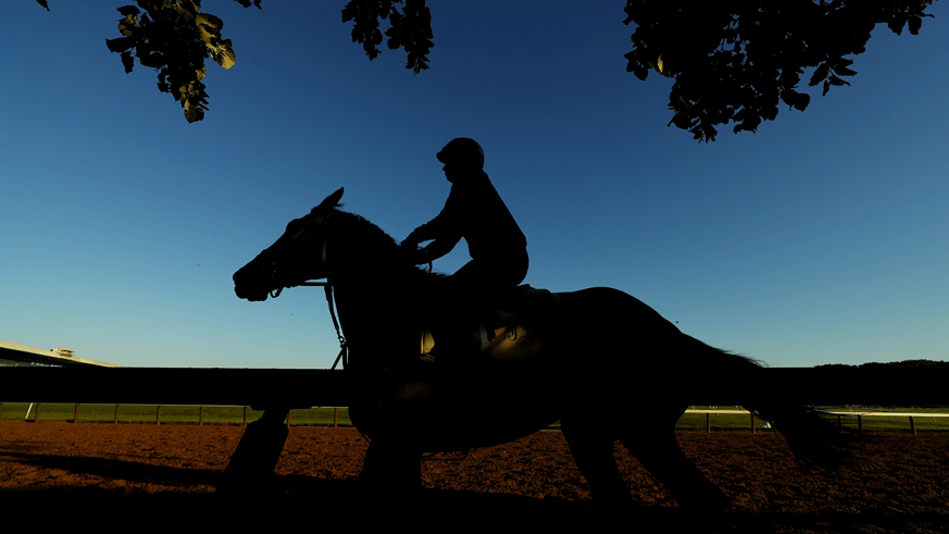 A horse warms up prior to the 149th running of the Belmont Stakes. (Photo: Getty Images)