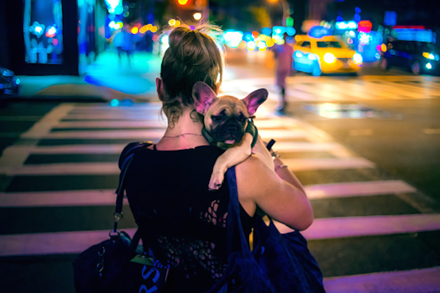 Best NYC neighborhoods for dogs
