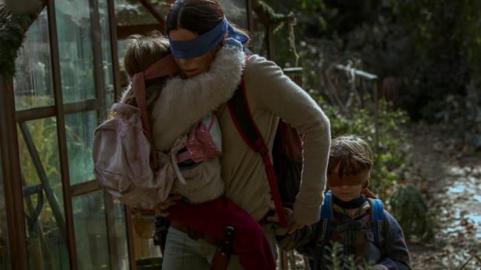 What is the Bird box Challenge?