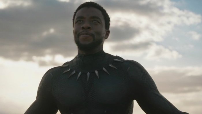 Racist Facebook group takes aim at Black Panther's Rotten Tomatoes score