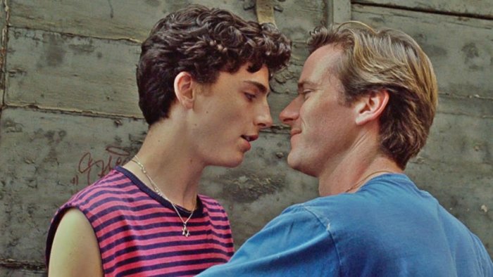 Timothee Chalamet and Armie Hammer talk Call Me By Your Name