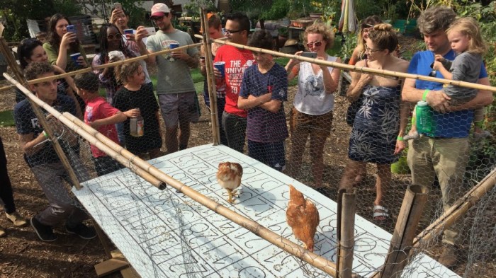 Chicken Sh*t Bingo is back at Bushwick City Farm.
