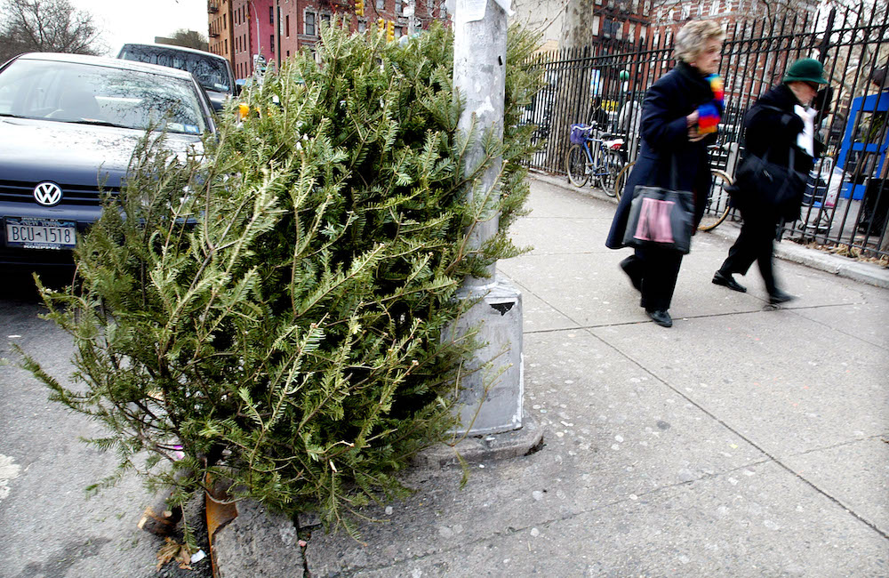 christmas tree recycling | mulchfest | nyc sanitation