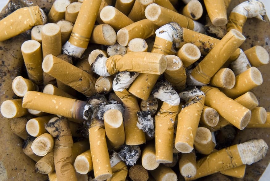 Are cigarette butts biodegradable