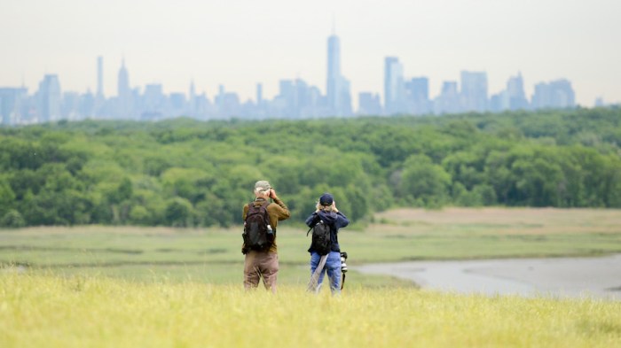 Formerly the world's largest landfill, Freshkills Park will be 2,200 acres of meadows, bike paths and playgrounds when it eventually opens.