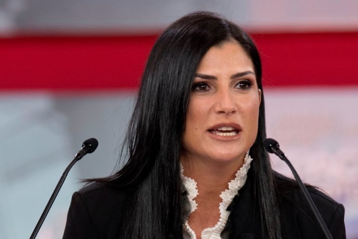 While many think firebrand NRA mouthpiece Dana Loesch removed the organization because of the Maria Butina/Russian investigation, but that is not actually the case