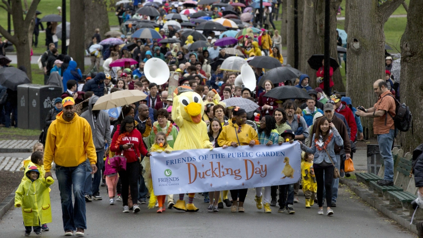 Duckling Day