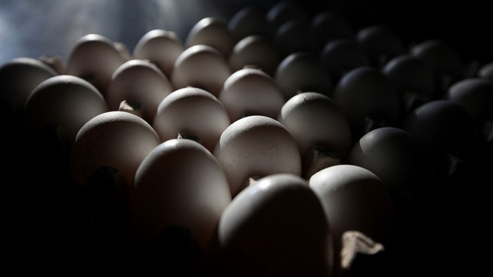 Egg recall: Egg brands possibly contaminated with Salmonella
