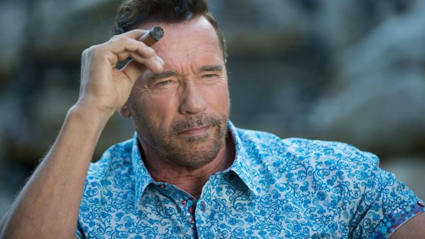 Arnold Schwarzenegger as Gunther