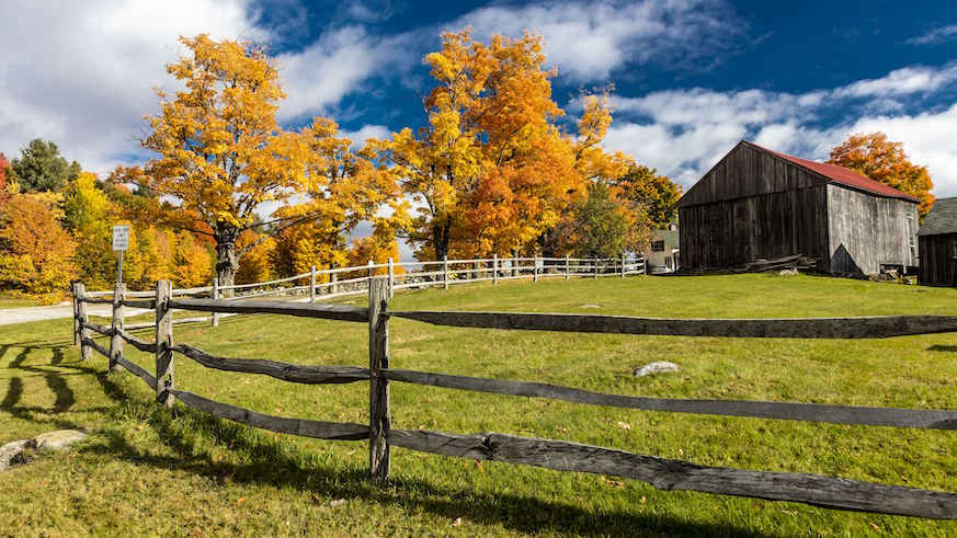 Vermont’s sugar maples should reach their peak in early October. Credit: Joe Sohm, Visions  of America/UIG