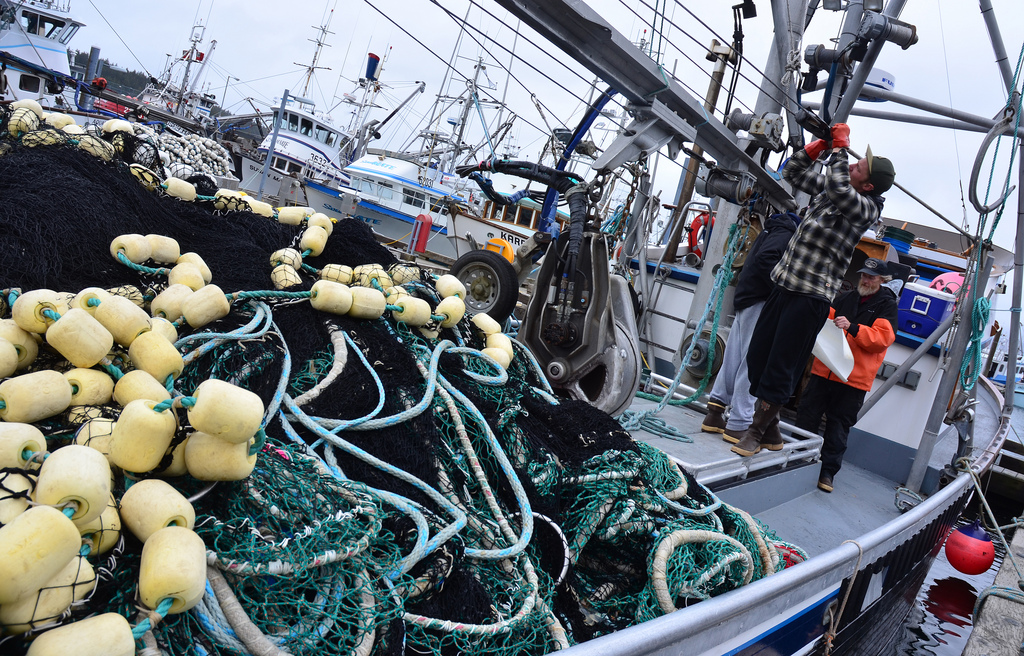 Future of commercial fishing uncertain after Codfather deception