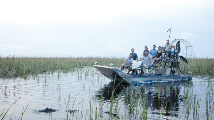 Experience the Everglades this Winter in beautiful South Florida