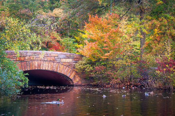 Franklin Park, pictured here in the fall, is the largest park in Boston. Photo: Sarah Nichols/Flickr Creative Commons