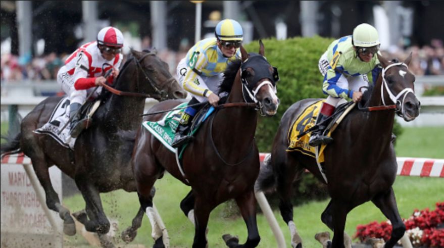Free, Belmont Stakes, live, stream, link, streaming