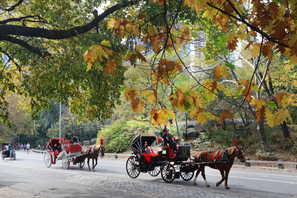 central park horse carriage ban bill de blasio new york supreme court