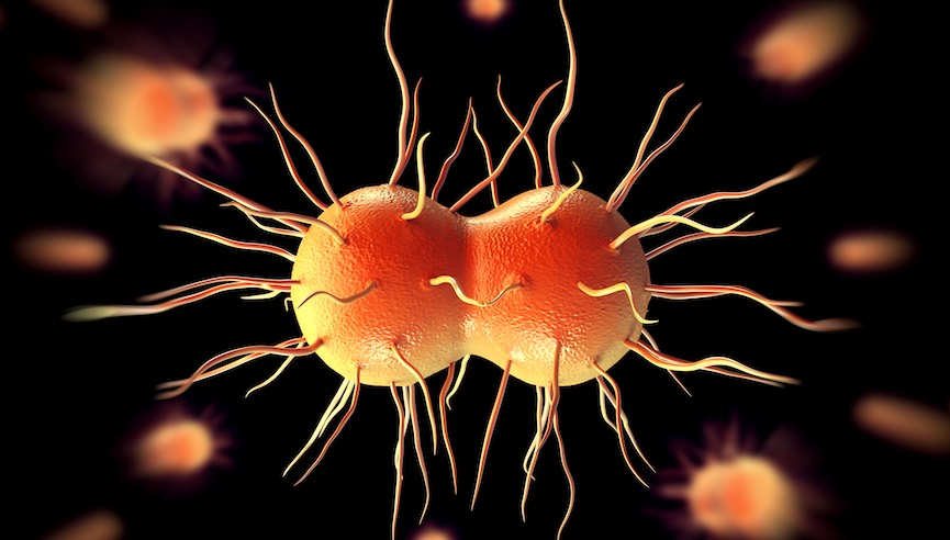 Drug-resistant cases of gonorrhea are on the rise