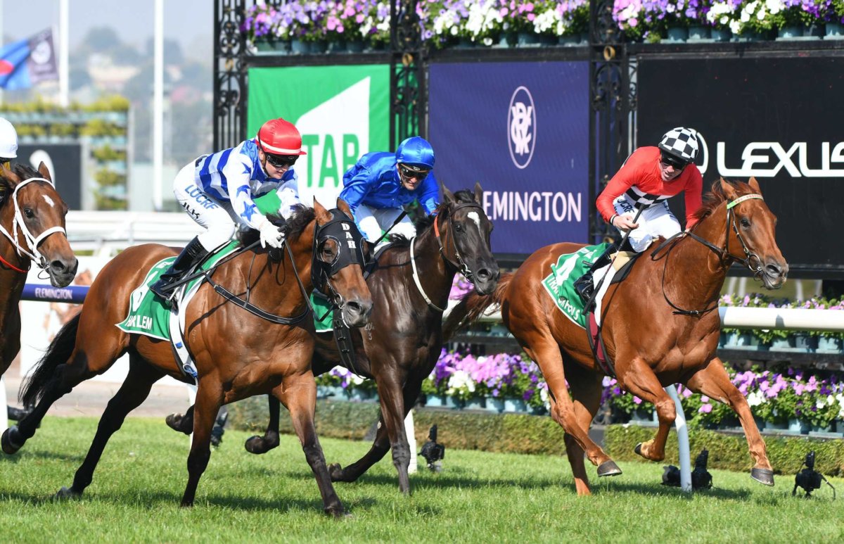 Gotham Stakes Tampa Bay Derby latest odds advice Metro US