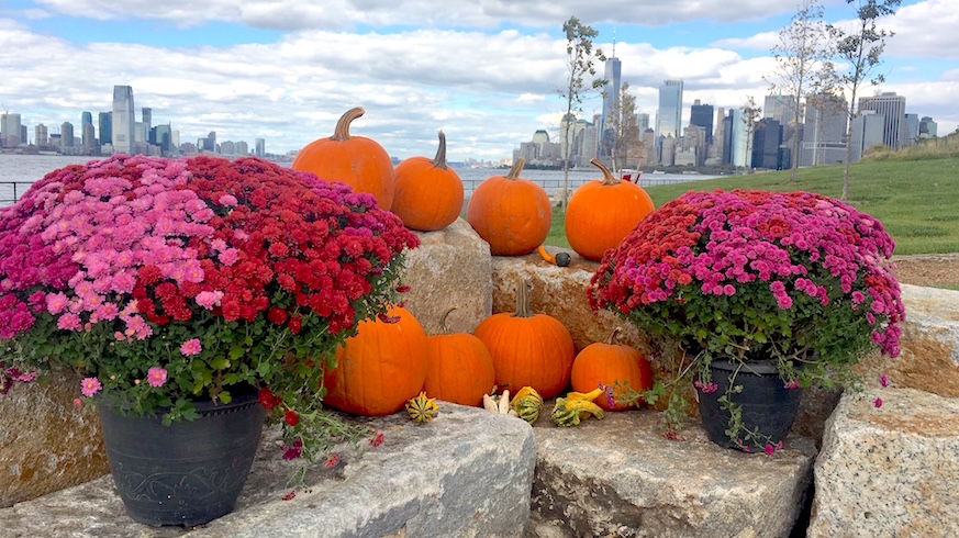 Picnic Point is turning into Pumpkin Point for the last two weekends of October on Governors Island. Credit: Trust for Governors Island