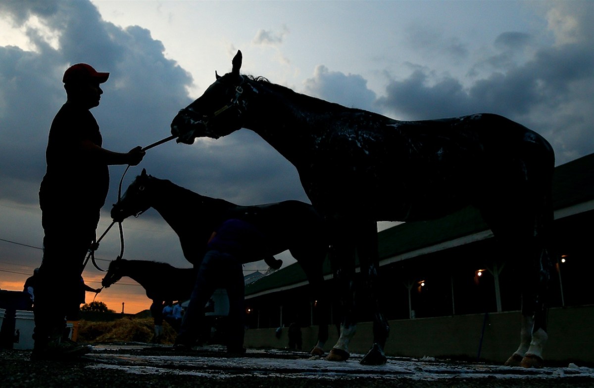 How do you bet gamble on horse racing Kentucky Derby
