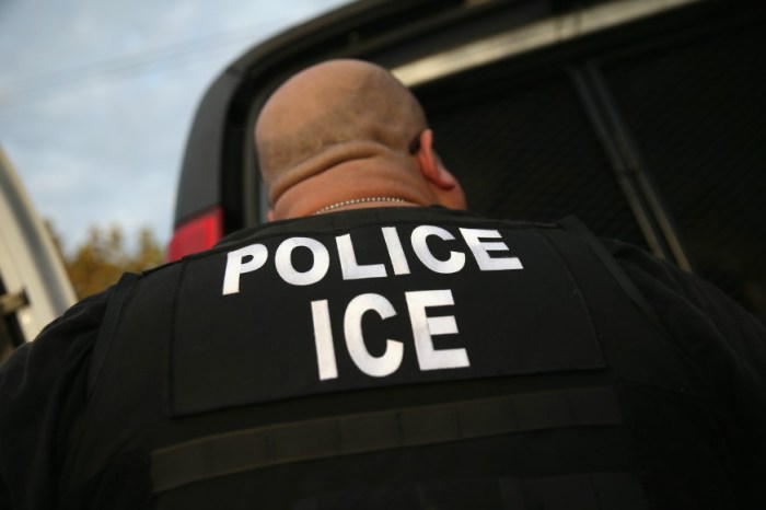 ice arrests new york