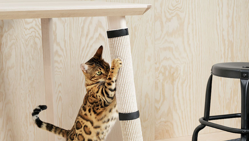 Now you can buy furniture for your pet at IKEA