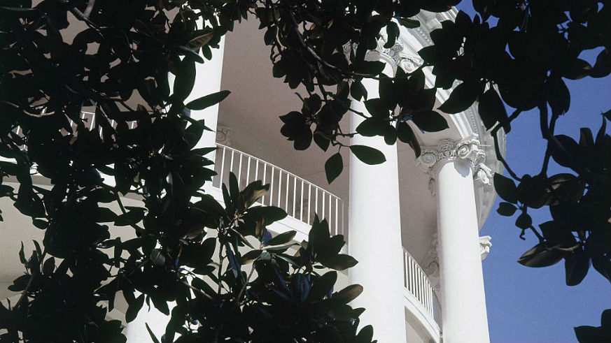 White House Jackson Magnolia