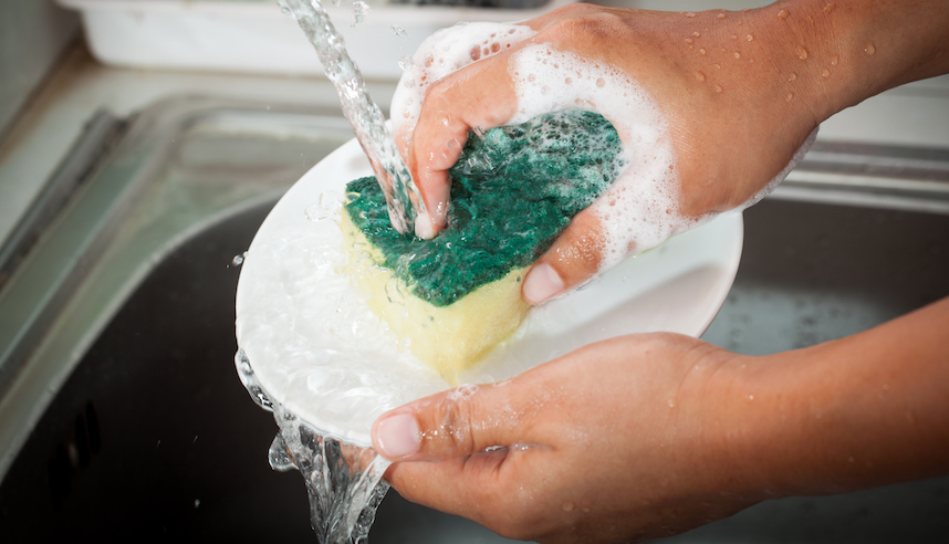 You should probably throw out your kitchen sponge